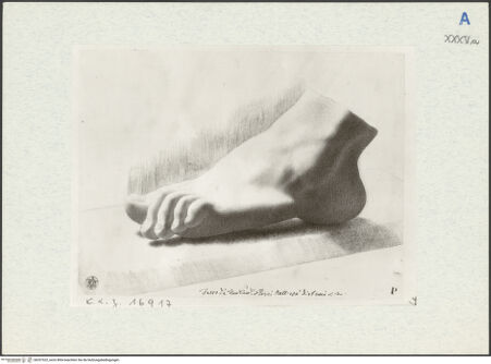 Vorderseite von bh297522_recto