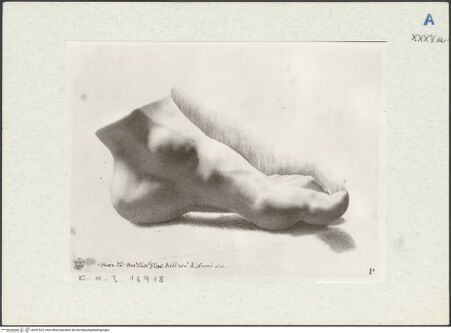 Vorderseite von bh297523_recto