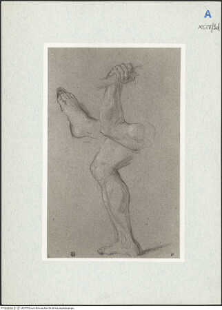 Vorderseite von bh297533_recto