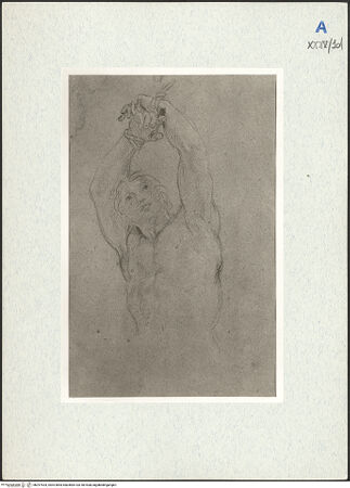 Vorderseite von bh297534_recto