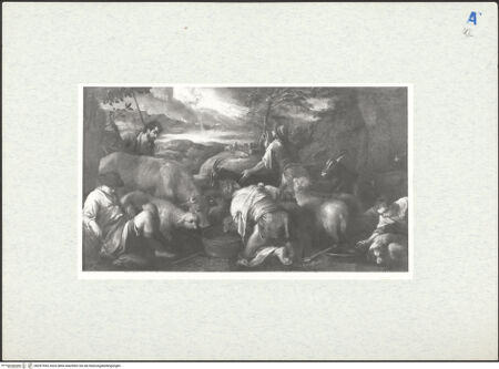 Vorderseite von bh297554_recto