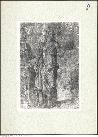 Vorderseite von bh297655_recto