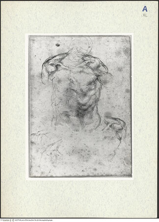 Vorderseite von bh297666_recto