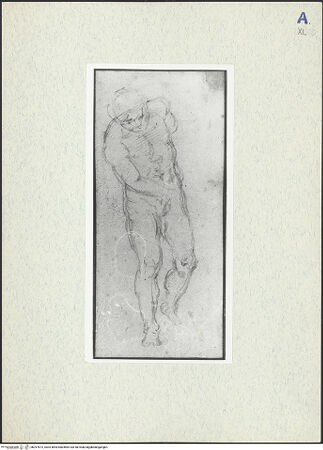 Vorderseite von bh297672_recto