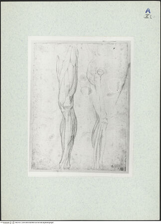 Vorderseite von bh297677_recto