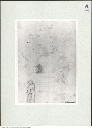 Vorderseite von bh297686_recto