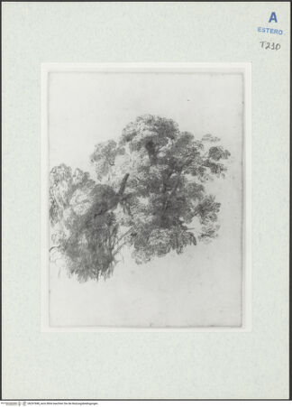 Vorderseite von bh297688_recto