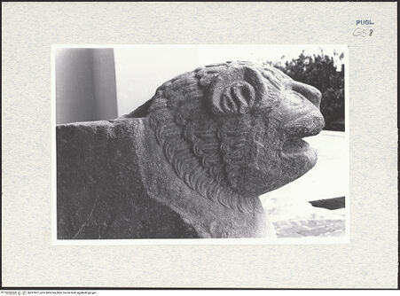 Vorderseite von Pace, Valentino [https://www.deutsche-digitale-bibliothek.de/content/lizenzen/rv-ez/] Fragment eines Bischofsthrons - Detail: Kopf, bh297907_recto. Foto: Pace, Valentino.