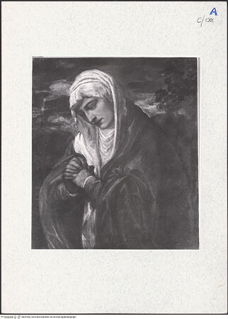 Vorderseite von bh297982_recto