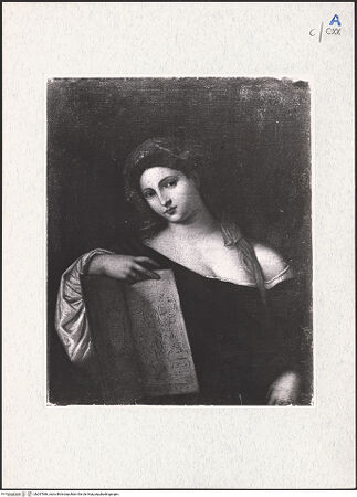 Vorderseite von bh297986_recto