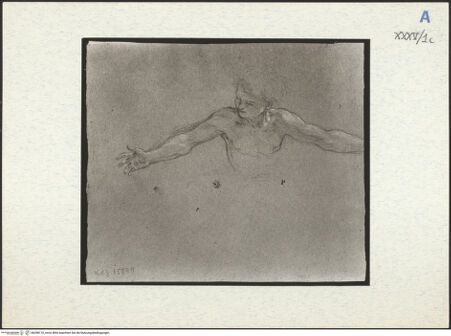 Vorderseite von bh298110_recto