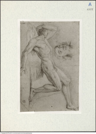 Vorderseite von bh298112_recto