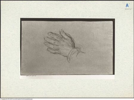 Vorderseite von bh298113_recto