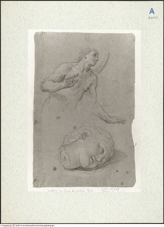 Vorderseite von bh298116_recto