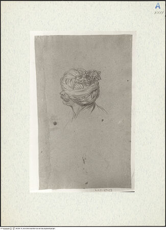 Vorderseite von bh298119_recto