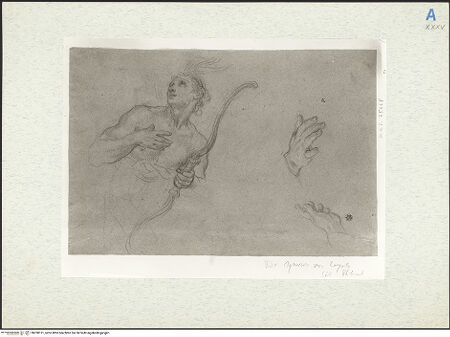 Vorderseite von bh298121_recto