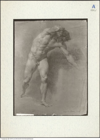 Vorderseite von bh298130_recto