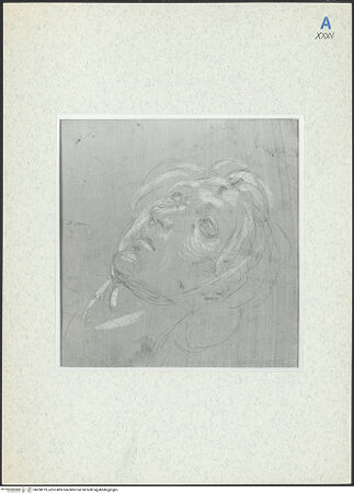 Vorderseite von bh298219_recto