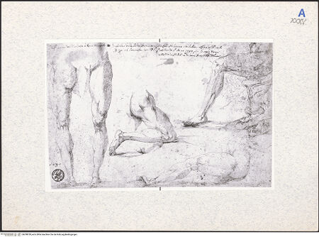 Vorderseite von bh298230_recto