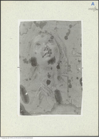 Vorderseite von bh298232_recto