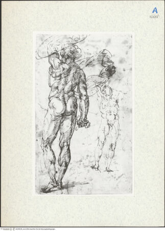 Vorderseite von bh298238_recto