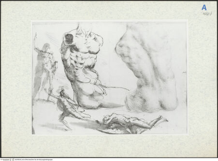 Vorderseite von bh298243_recto