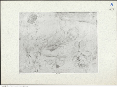 Vorderseite von bh298247_recto