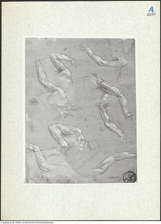 Vorderseite von bh298251_recto