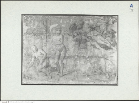 Vorderseite von bh298446_recto