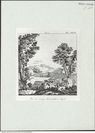 Vorderseite von bh298579_recto