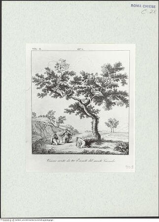 Vorderseite von bh298581_recto