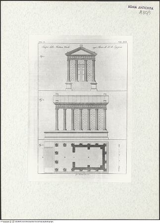 Vorderseite von bh298659_recto