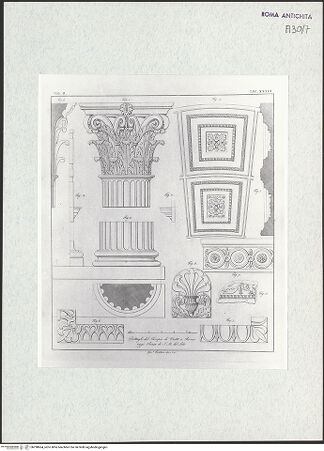 Vorderseite von bh298664_recto