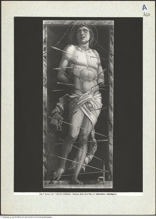 Vorderseite von bh298909_recto