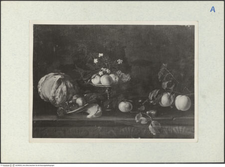 Vorderseite von bh298930_recto