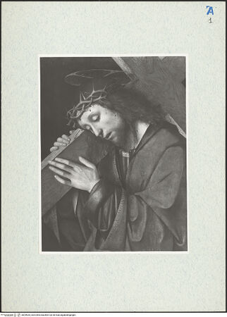 Vorderseite von bh299043_recto