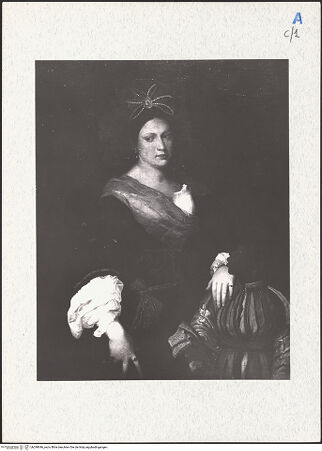 Vorderseite von bh299046_recto