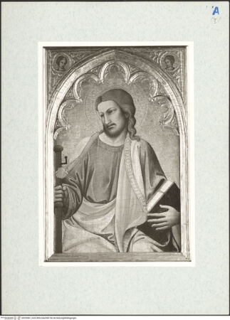 Vorderseite von bh299081_recto