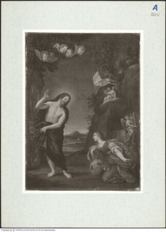 Vorderseite von bh299090_recto