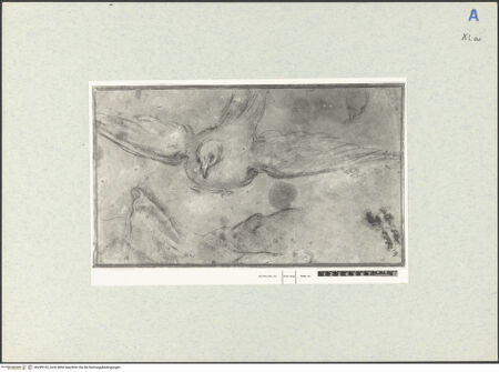 Vorderseite von bh299152_recto