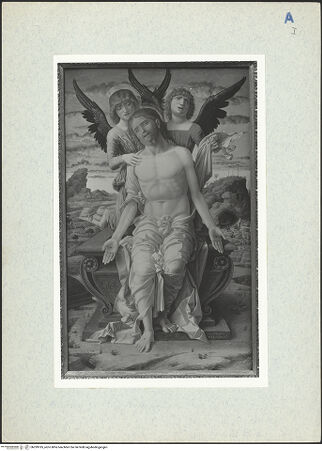 Vorderseite von bh299185_recto