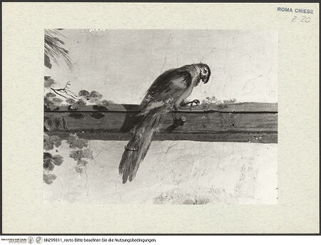 Vorderseite von bh299311_recto