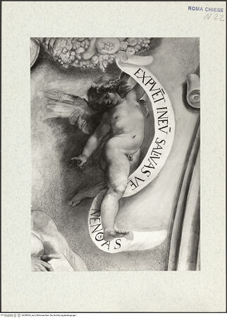 Vorderseite von bh299393_recto