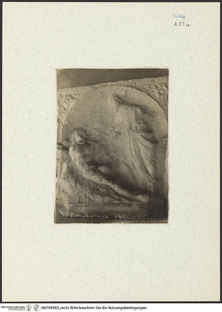 Vorderseite von bh299983_recto