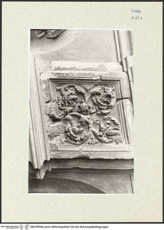 Vorderseite von bh299984_recto