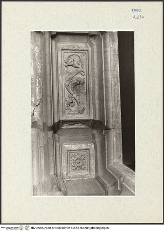 Vorderseite von bh299986_recto