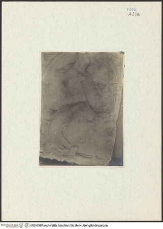 Vorderseite von bh299987_recto