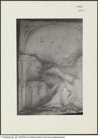 Vorderseite von bh299990_recto