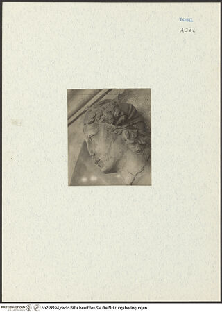 Vorderseite von bh299994_recto