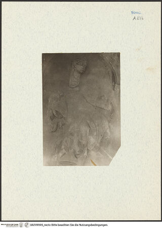 Vorderseite von bh299995_recto